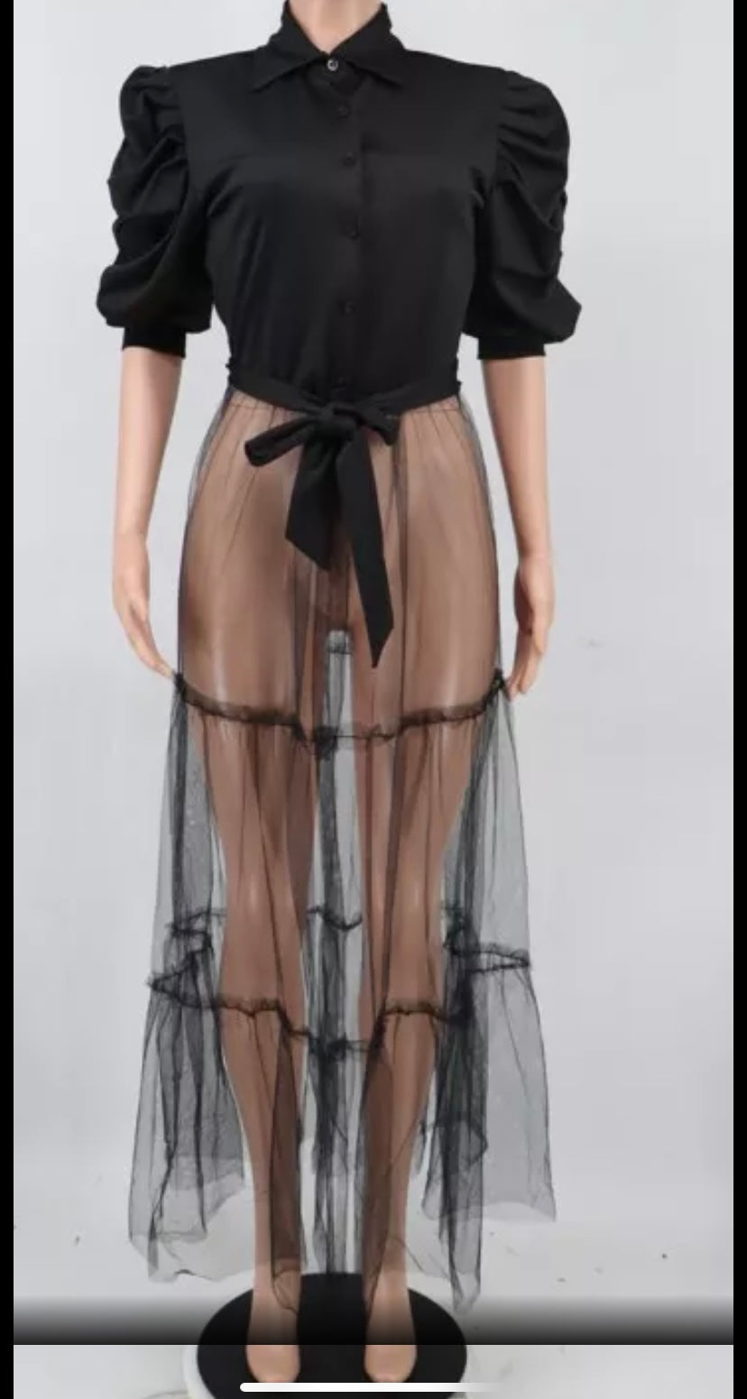 Puff Sleeve Button Turn Down Collar Sheer Mesh