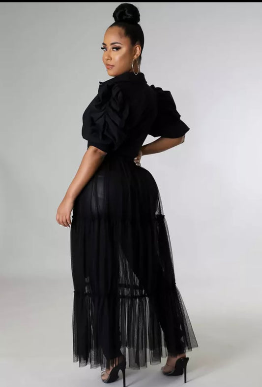 Puff Sleeve Button Turn Down Collar Sheer Mesh