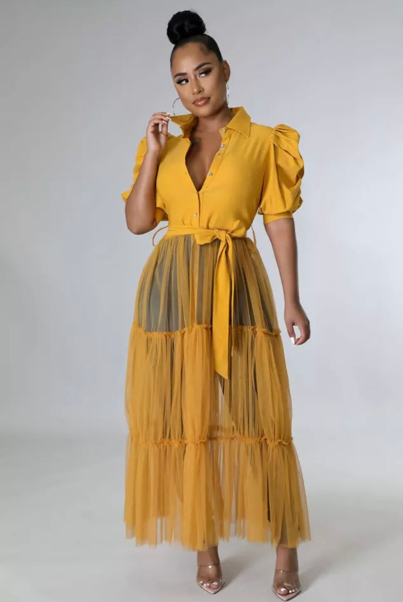 Puff Sleeve Button Turn Down Collar Sheer Mesh