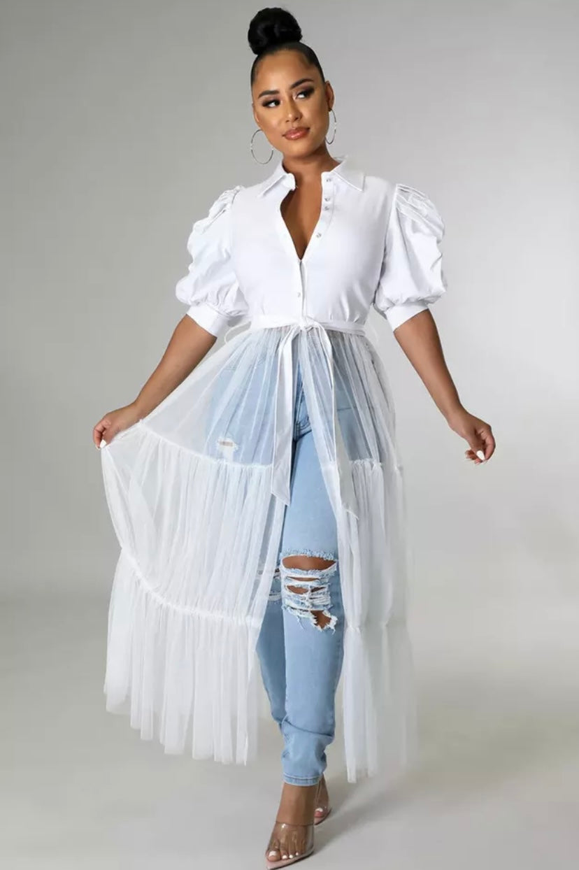 Puff Sleeve Button Turn Down Collar Sheer Mesh